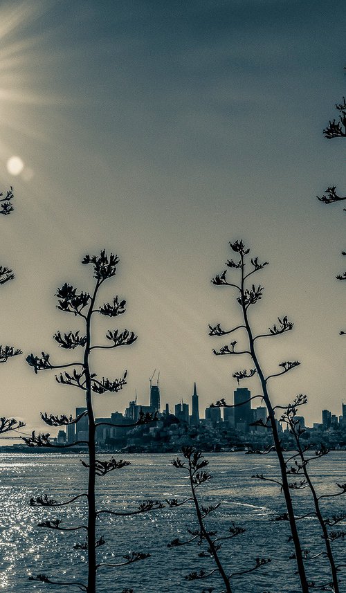 San Francisco from Alcatraz Vintage Print ) by Stephen Hodgetts Photography