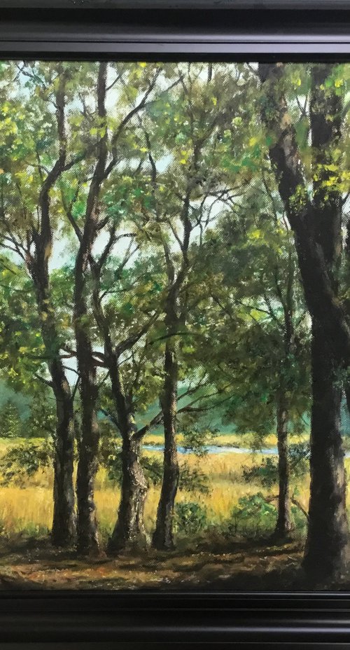 MARSH TRAIL - VEREEN GARDENS - 18X24 inch framed oil landscape by Kathleen McDermott