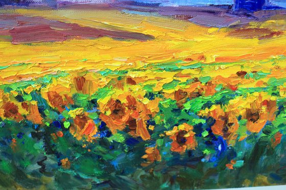 Sunflower field