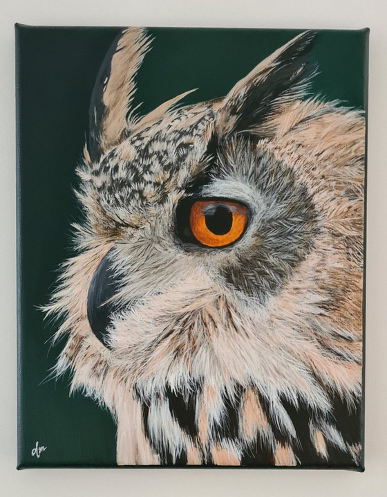 Owl