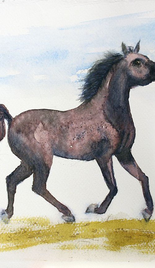 Horse II by Salana Art