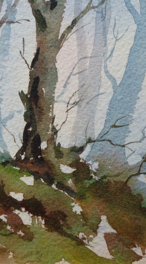 Winter Light by Maire Flanagan