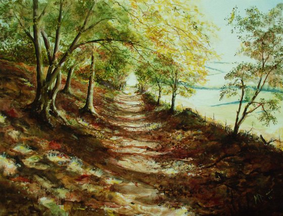A Path Through Autumn