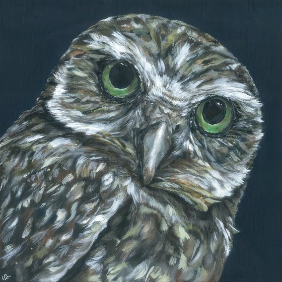 'Twit' Owl Painting