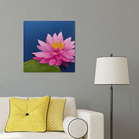 Shine. Water Lily