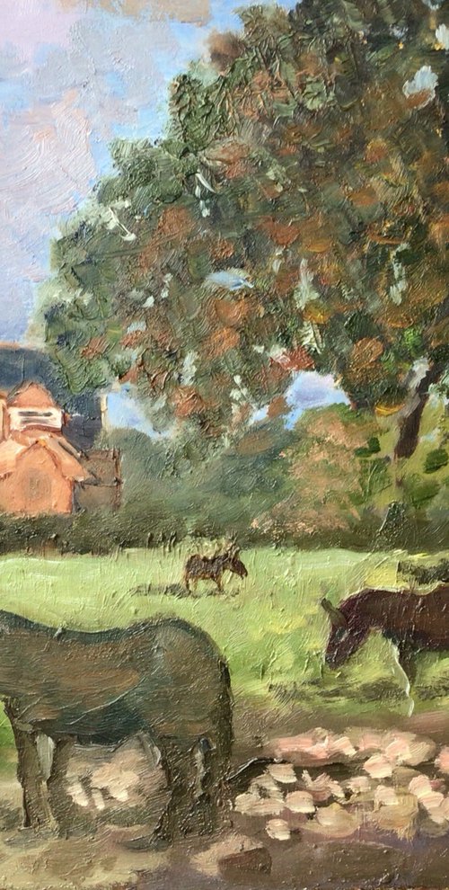 Donkeys on the farm by Julian Lovegrove Art