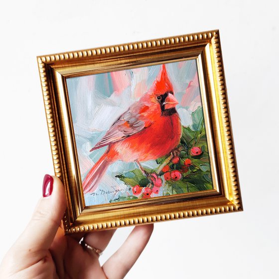 Cardinal bird