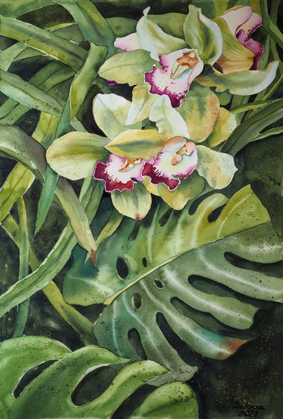 A tropical forest - original watercolor orchid flowers and monstera leaves