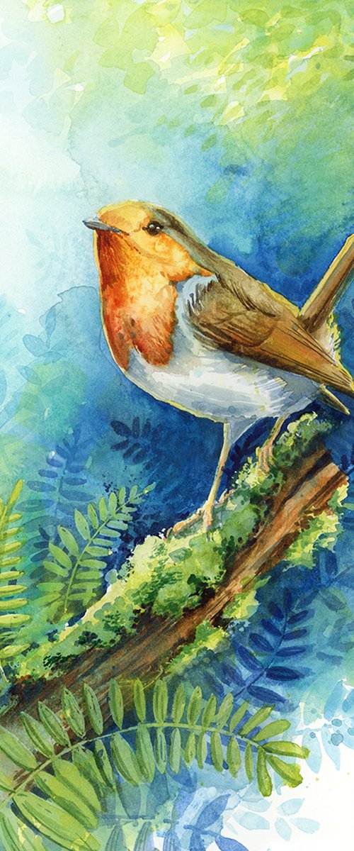 Robin bird by Karolina Kijak
