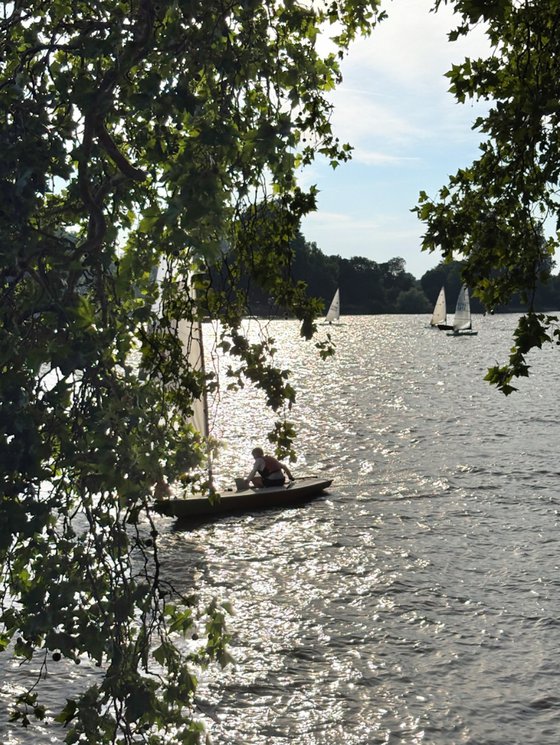 Thames Shimmer