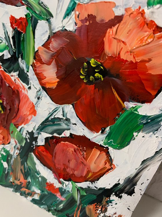 Red poppies.