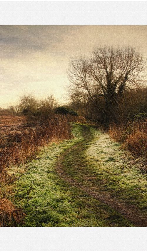 Down the Frosty Path by Martin  Fry