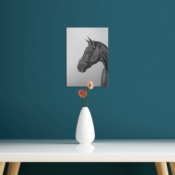 Horse portrait