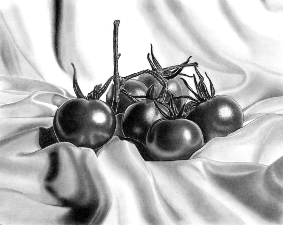 Photorealistic Still Life Pencil Drawing By Paul Stowe, 14 X 11", Vine Tomatoes, Original Artwork
