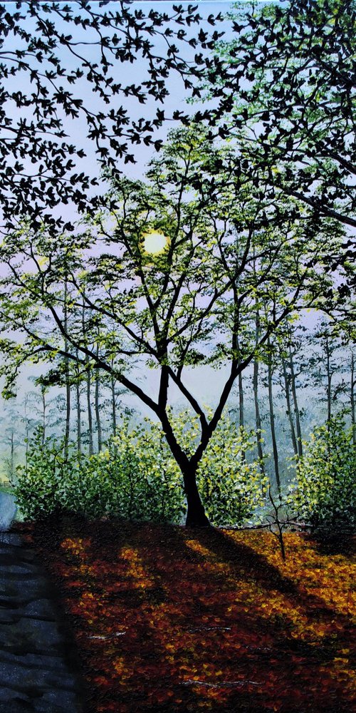 Autumn Light In The Forest by Hazel Thomson
