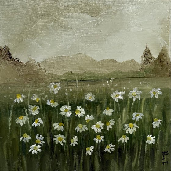 Wild daisies meadow on ochres horizon