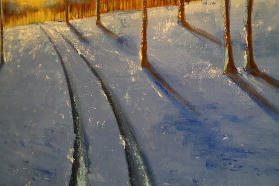 January light -  Fields and Colors Series