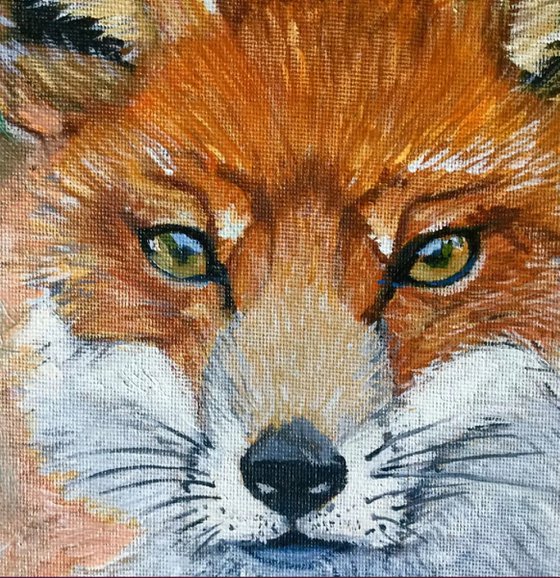 fantastic fox