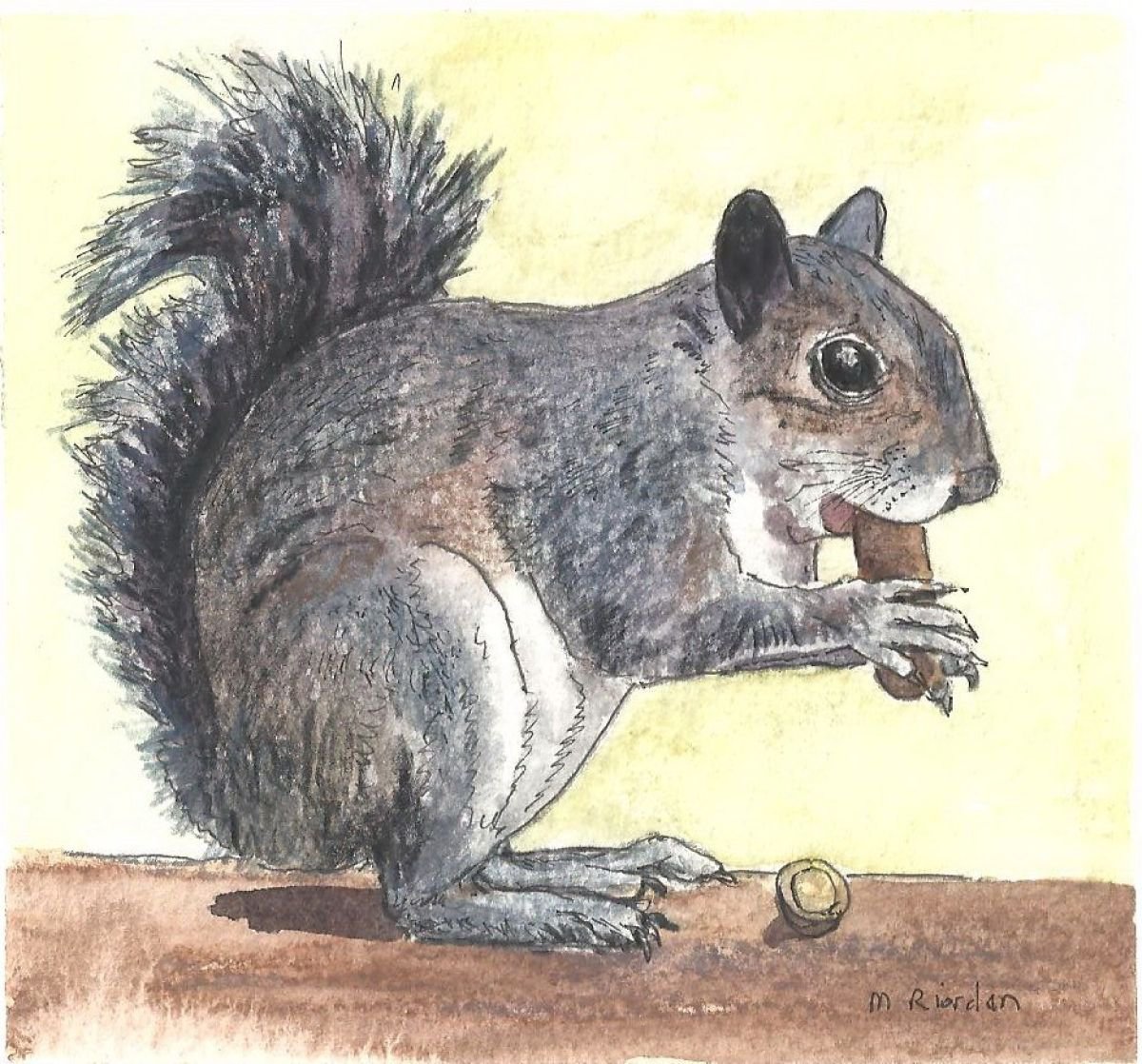 SQUIRREL NIBBLING ON A NUT by Margaret Riordan