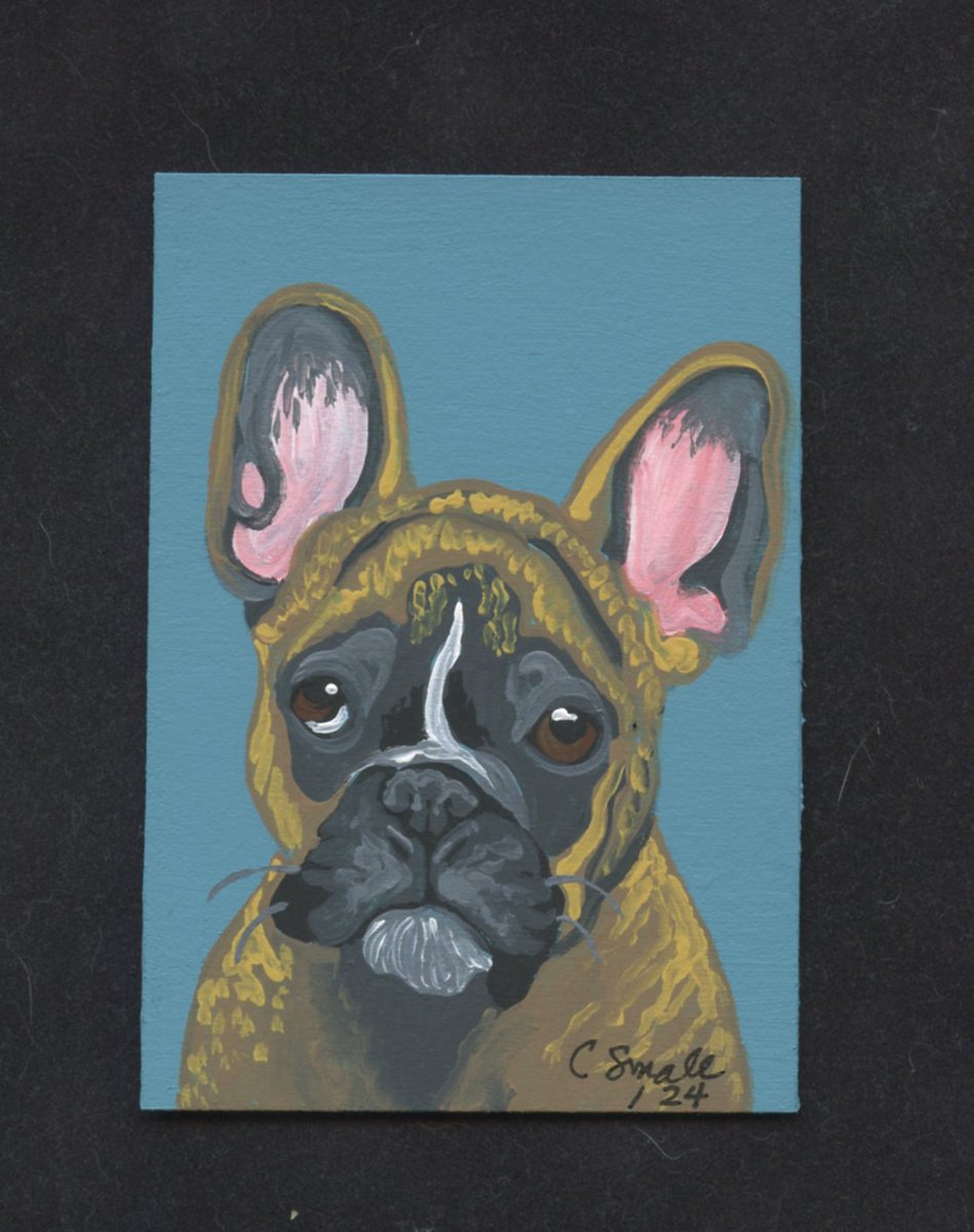 Brindle French Bulldog by Carla Smale