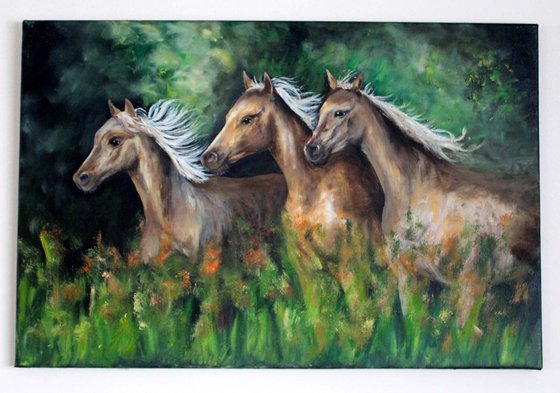 Arabian Horses