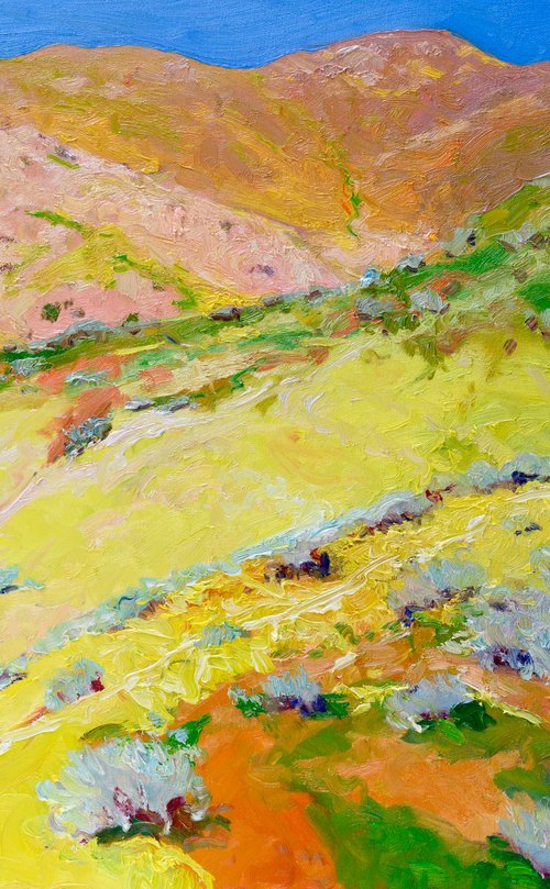 Yellow Blooming Hills. Spring in California by Suren Nersisyan