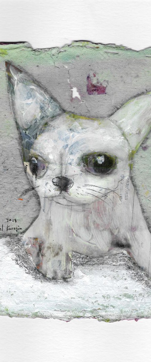 White small dog by Pavel Kuragin