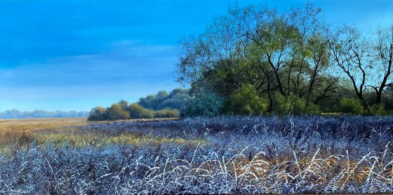 First frost