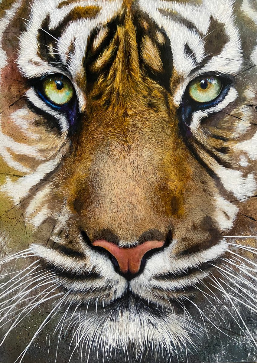 Tiger Eye Acrylic painting by Paul Hardern | Artfinder