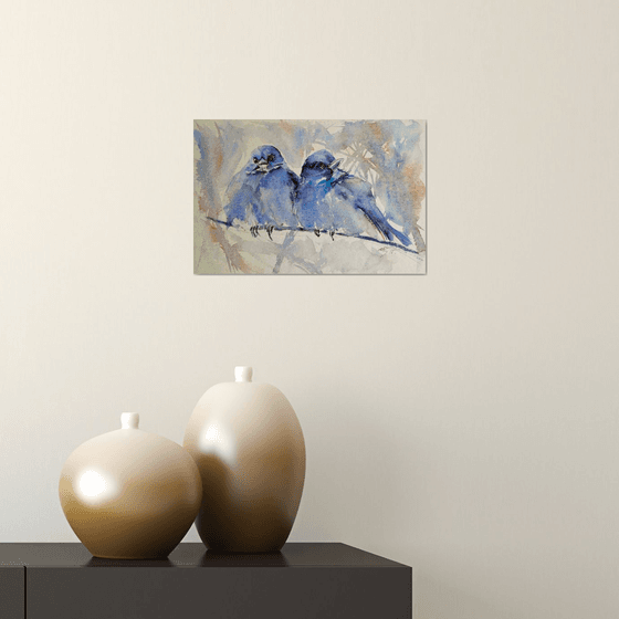 Mountain bluebirds