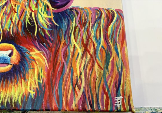 Harry the Highland Cow