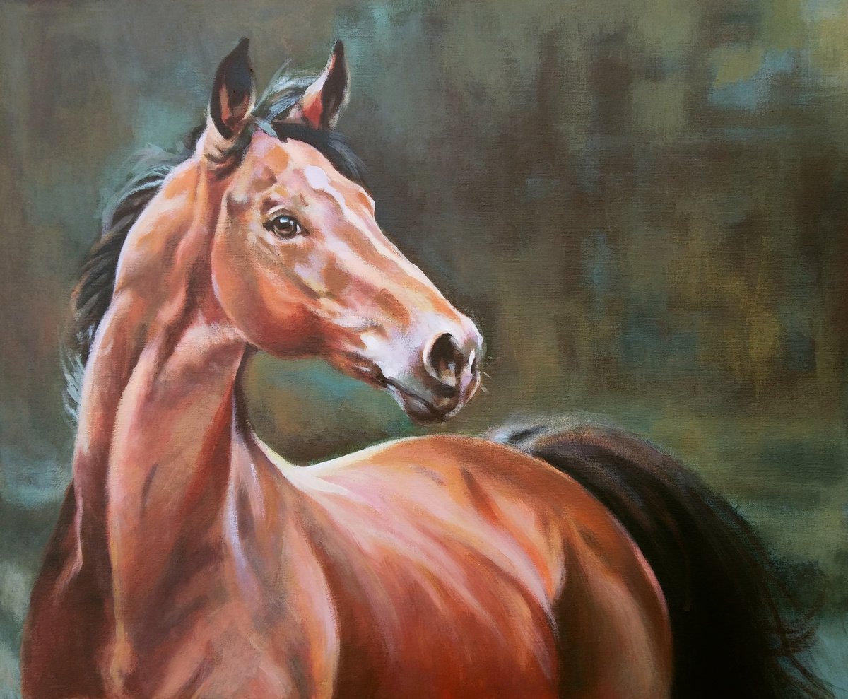 Young Arabian Stallion by Magdalena Palega