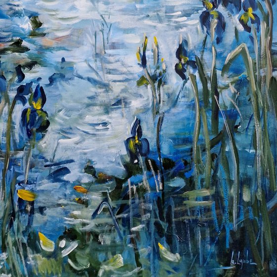 Blue irises at the blue pond