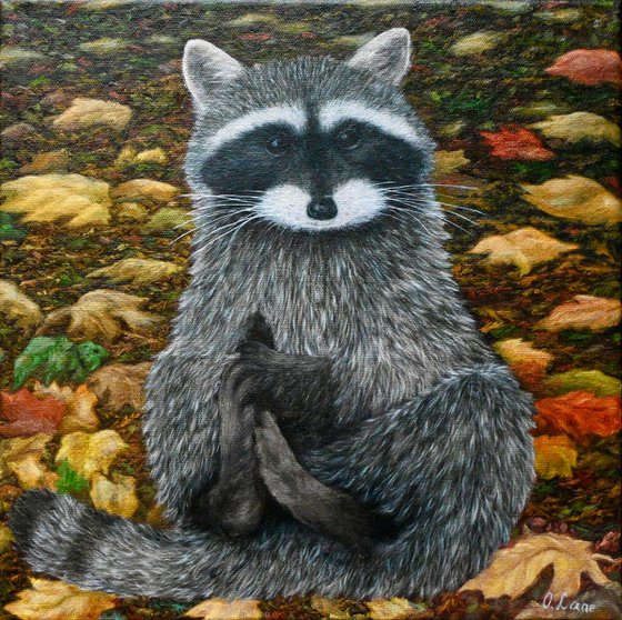 Raccoon