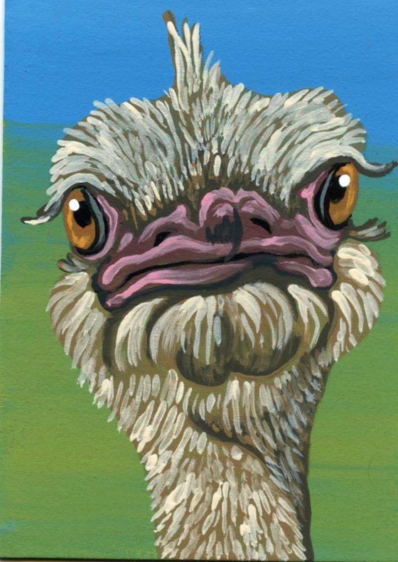 ACEO ATC Original Miniature Painting Ostrich Bird Wildlife Art-Carla Smale