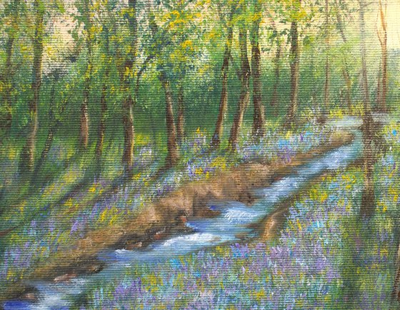 Bluebells forest