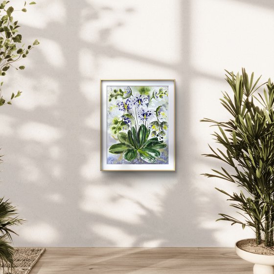 White Orchid in a pot