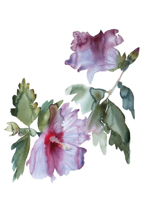 Hibiscus No. 2 by Elizabeth Becker