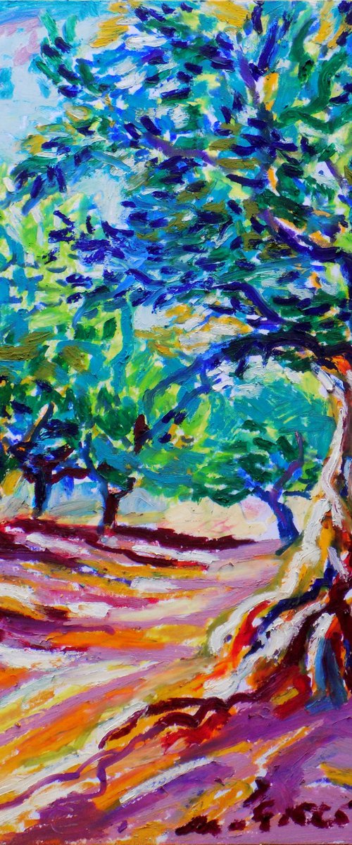 Olive grove No 23 by Maja Grecic