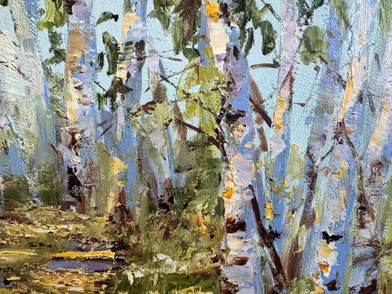 Morning in the Birch Forest