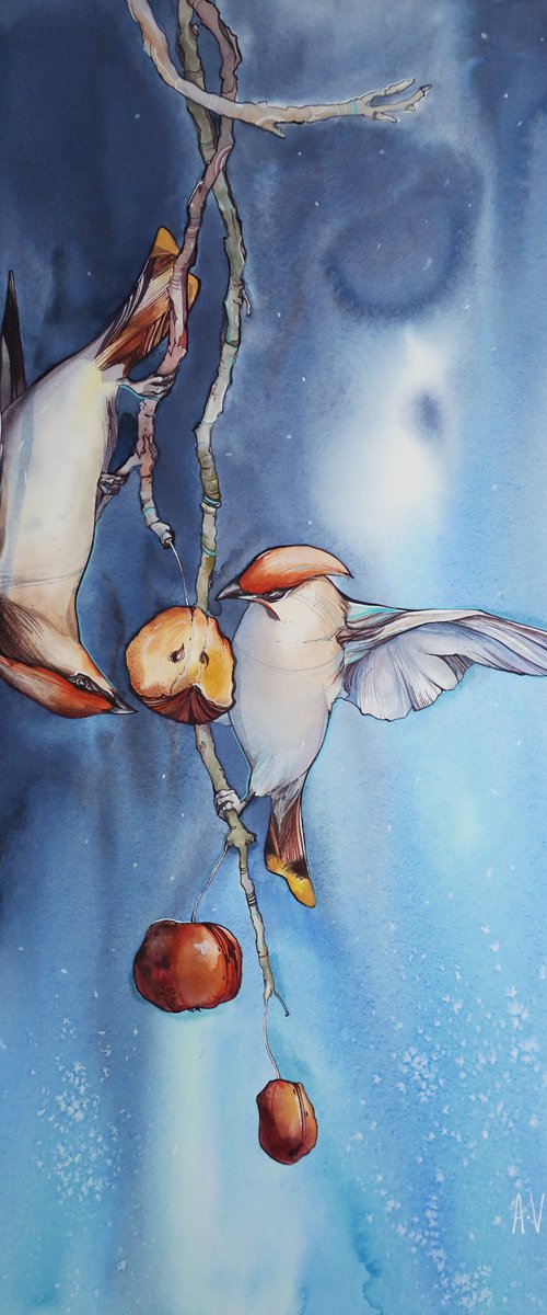 First snow. by Alla Vlaskina