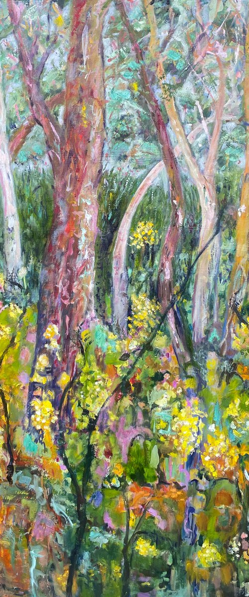 EUCALYPTS AND WATTLE by Maureen Finck