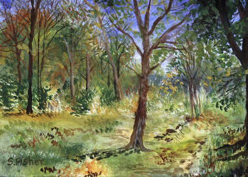 autumn woodland clearing by Sandra Fisher