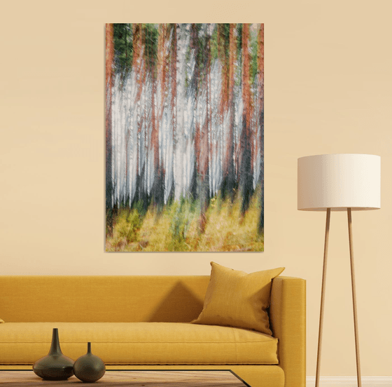Metsä (studio 8)