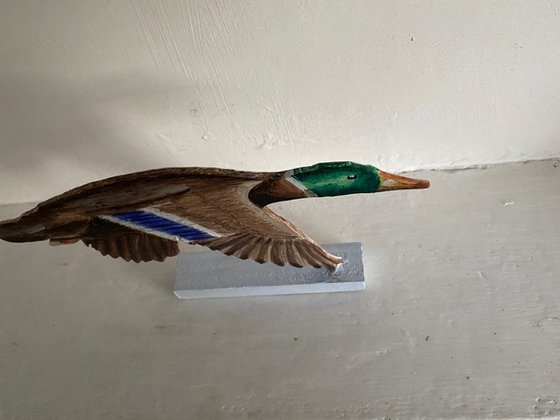 Flying Mallard