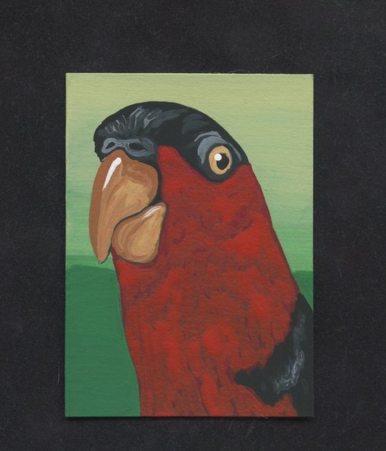 ACEO ATC Original Miniature Painting Indonesian Parrot Pet Bird Art-Carla Smale