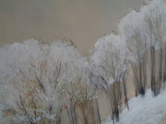 As We Made Our Way Along Winter Pathways.....
