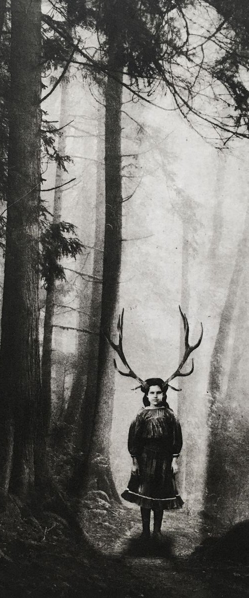 Exterior No. 9: The Girl in The Woods by Jaco Putker