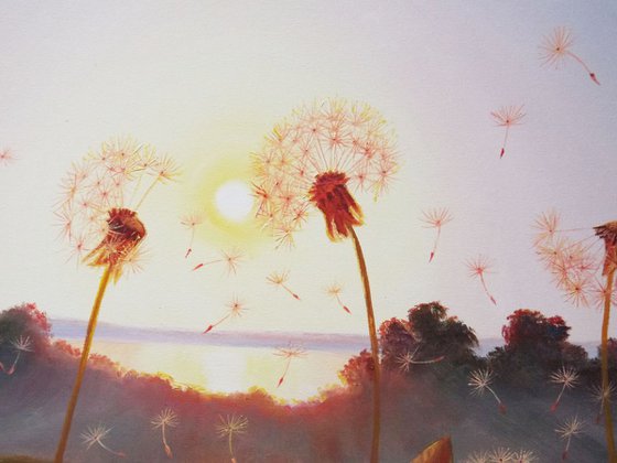 Sunset and Dandelions