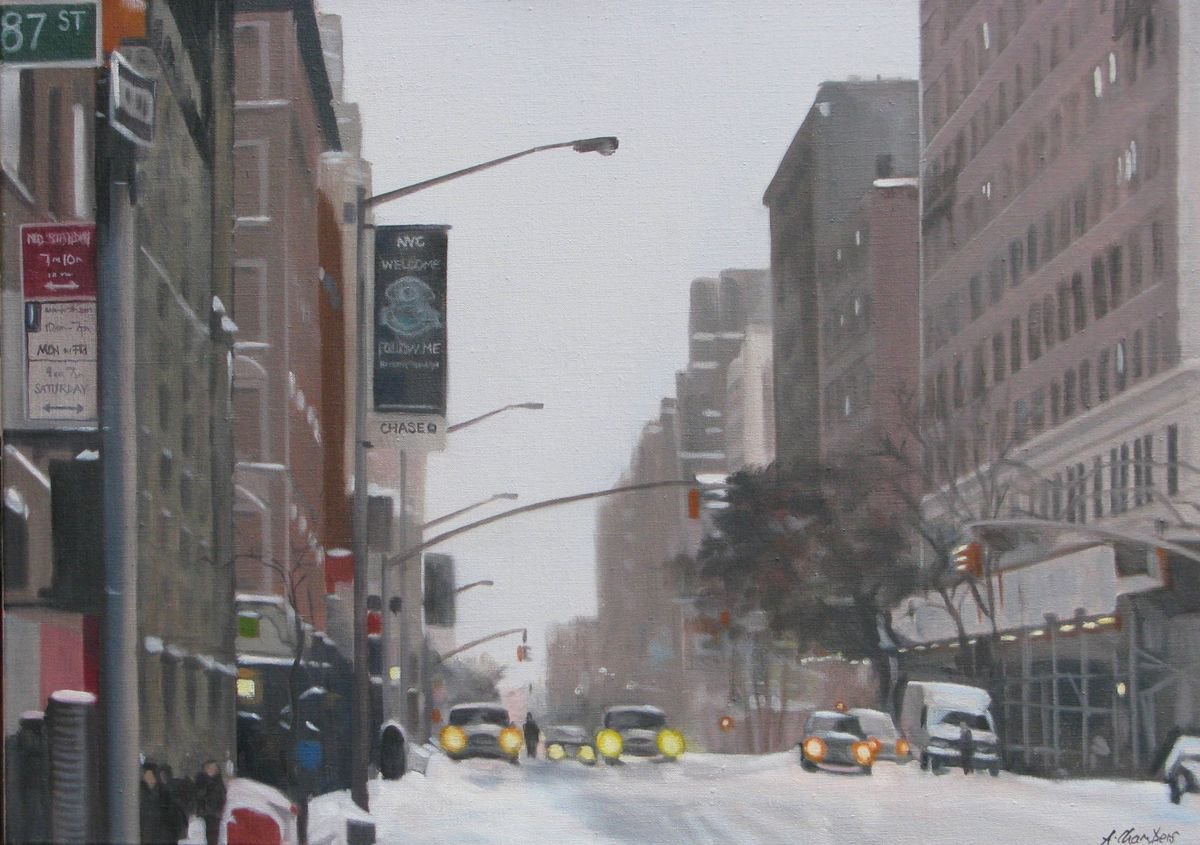 After The Snow: Nyc By Alison Chambers, 29 X 21, Artwork For Sale On Artfinder